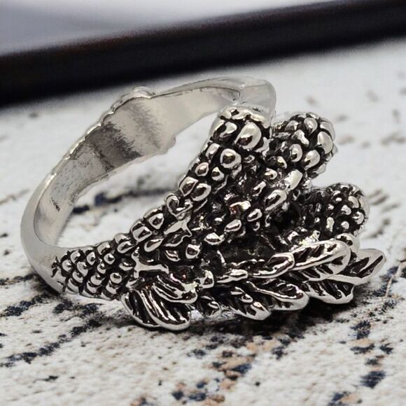 Dragon Claw of Nidhoggr Band Titanium Steel Adjustable Men's Ring Silver Jewelry - Picture 11 of 11
